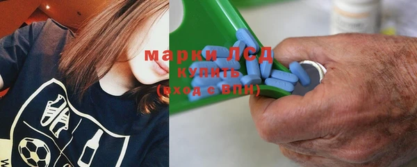 ПСИЛОЦИБИНОВЫЕ ГРИБЫ Кулебаки