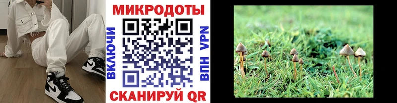 Купить  Выборг  Псилоцибиновые грибы прущие грибы 